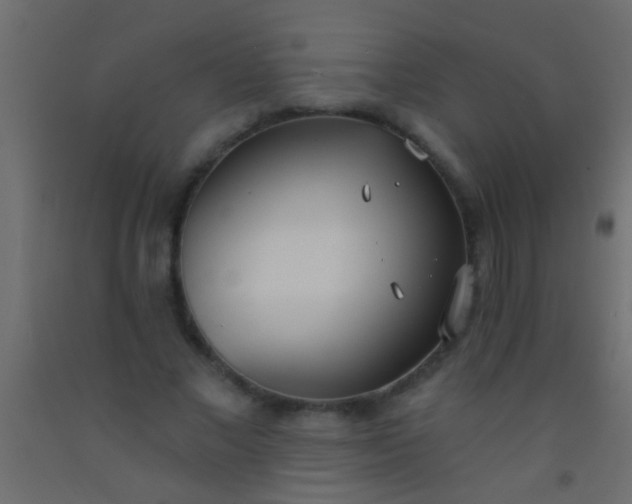 X0000093090685200710101517