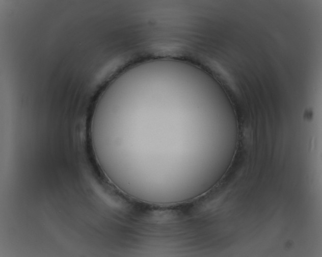 X0000093090686200710101517