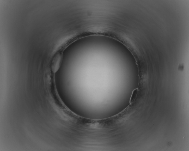 X0000093090688200710101517