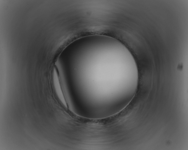 X0000093090689200710101517