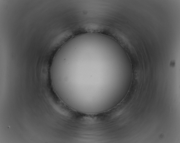 X0000093090690200710101517