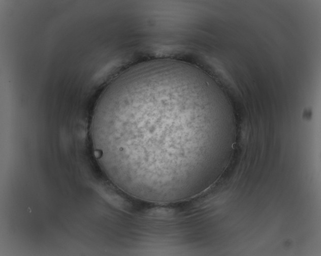 X0000093090691200710101517