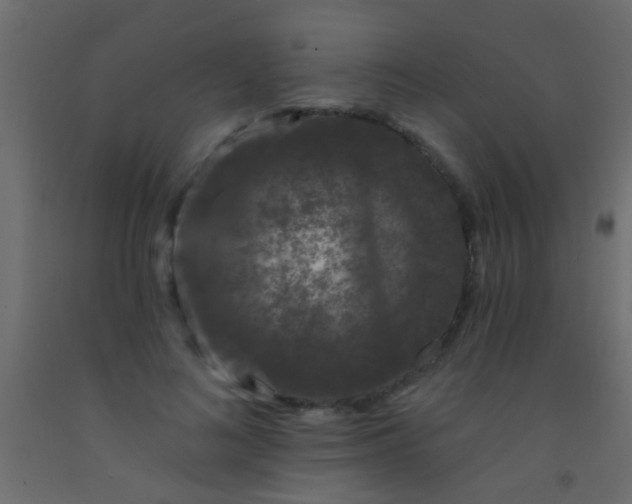 X0000093090692200710101517