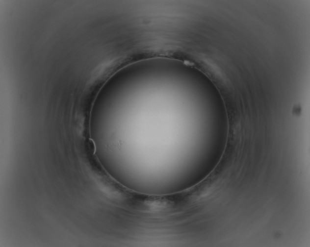 X0000093090693200710101517