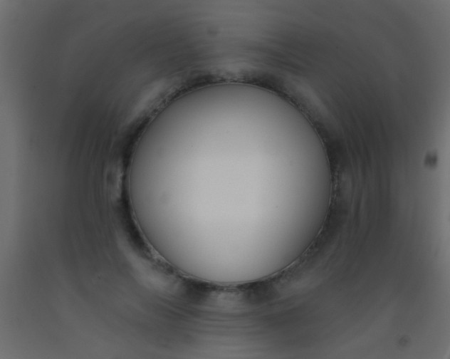 X0000093090694200710101517