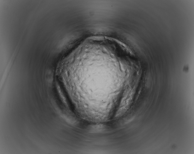 X0000093090695200710101517