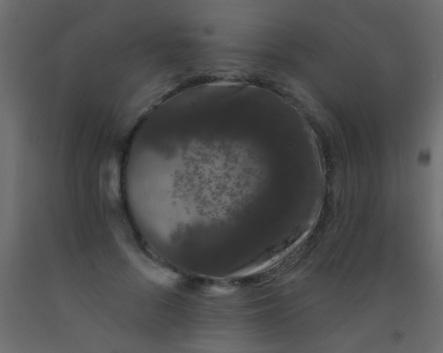 X0000093090696200710101517