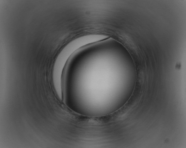 X0000093090697200710101517