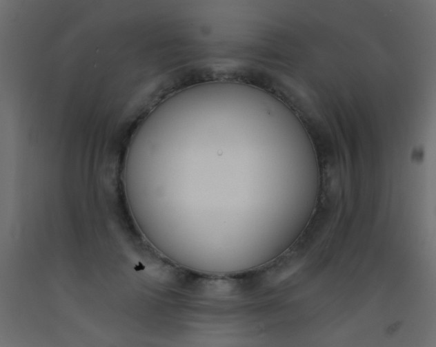 X0000093090698200710101517