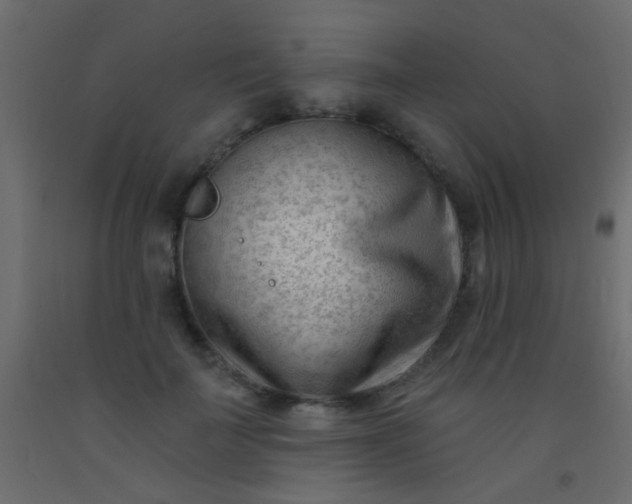 X0000093090699200710101517