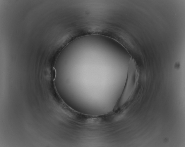 X0000093090700200710101517