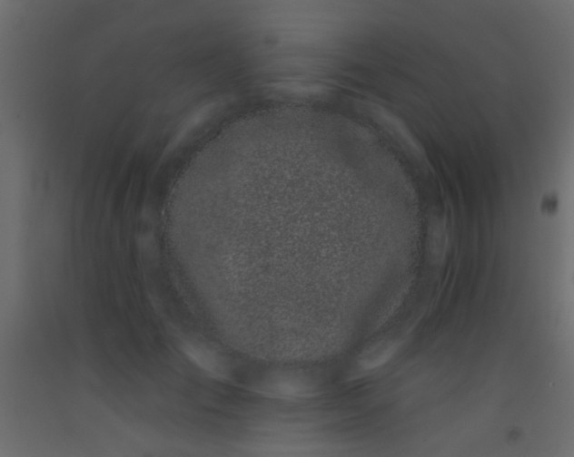 X0000093090701200710101517