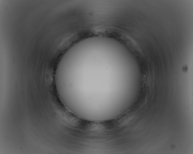 X0000093090702200710101517