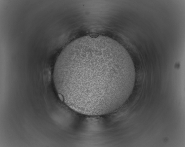 X0000093090703200710101517