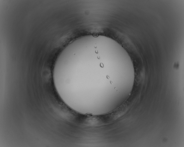 X0000093090704200710101517