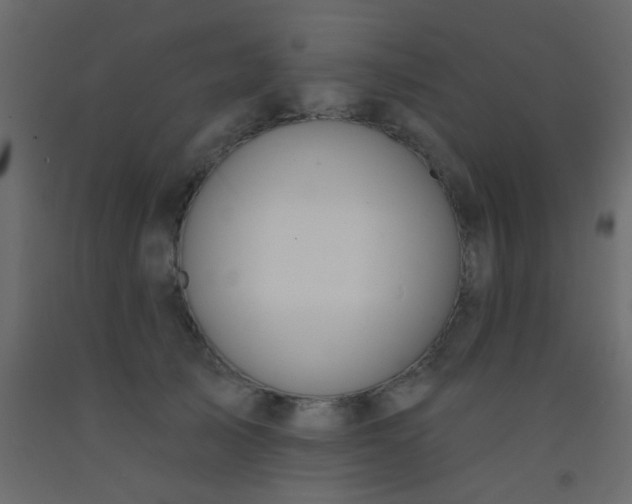 X0000093090705200710101517