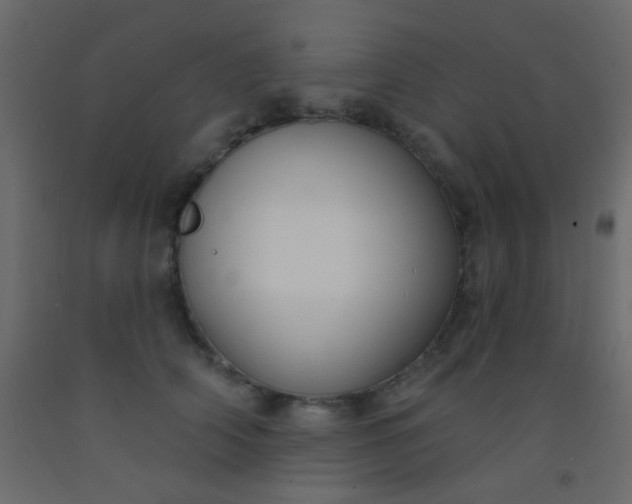 X0000093090706200710101517