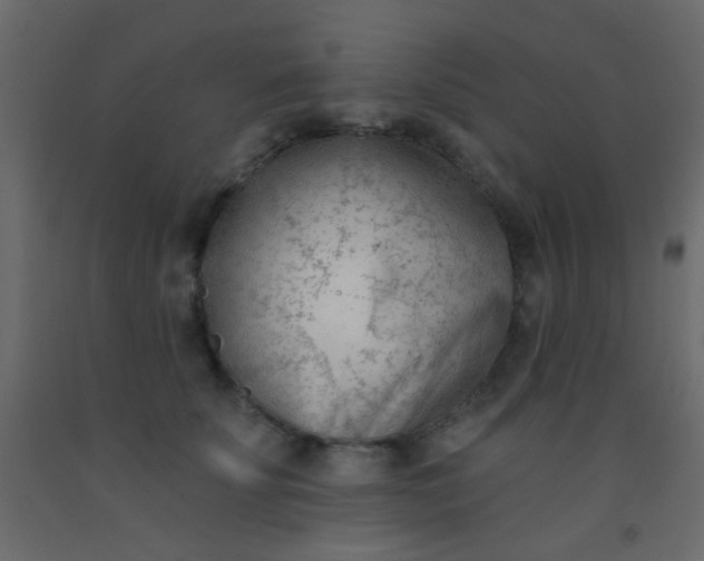 X0000093090707200710101517