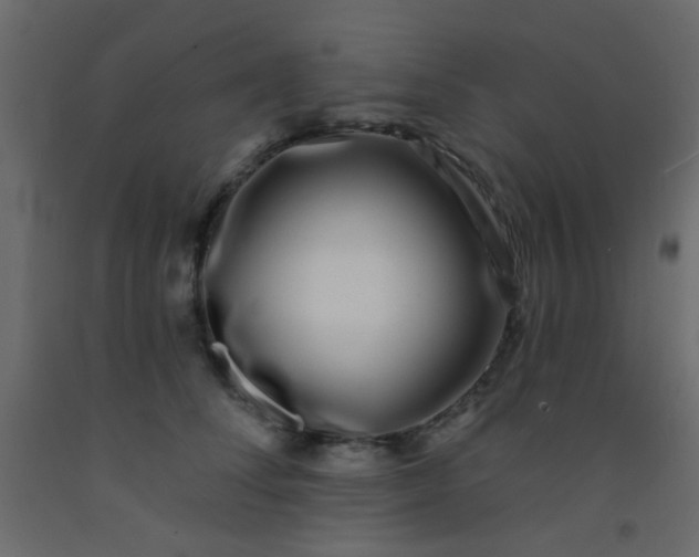 X0000093090708200710101517