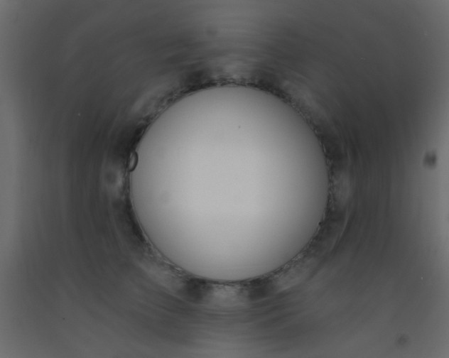 X0000093090709200710101517