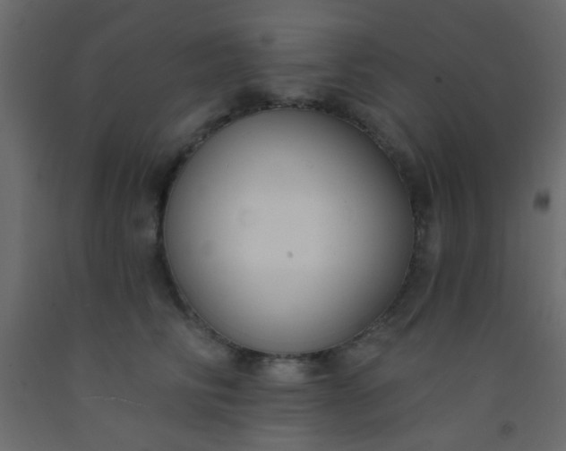 X0000093090710200710101517