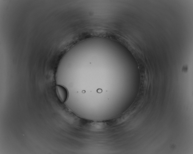 X0000093090711200710101517