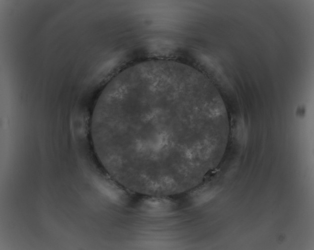 X0000093090712200710101517