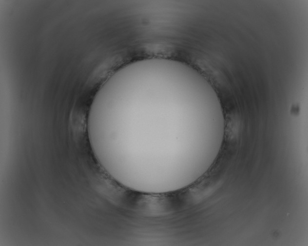 X0000093090713200710101517