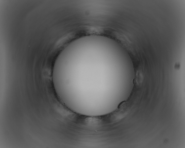 X0000093090714200710101517