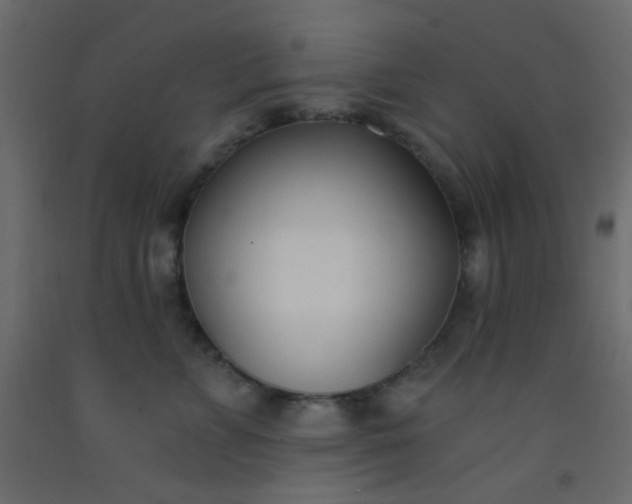 X0000093090715200710101517