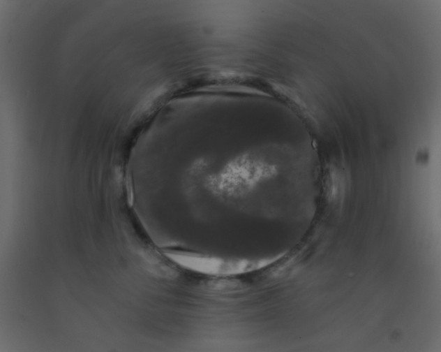 X0000093090716200710101517