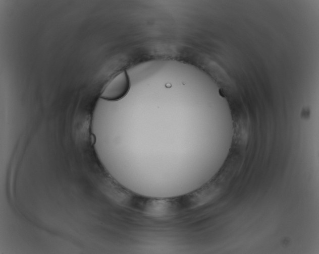 X0000093090717200710101517