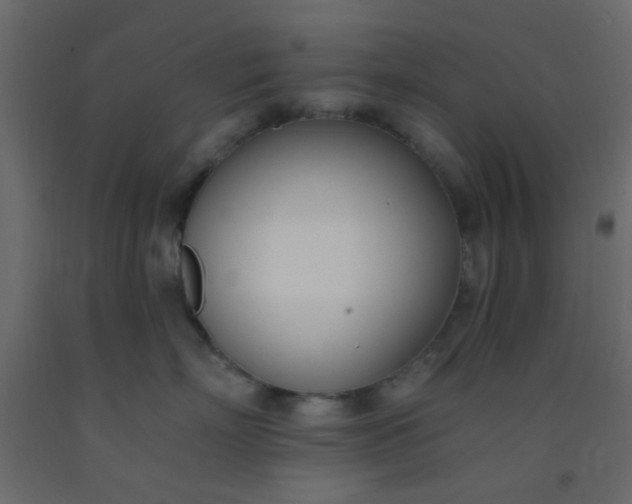 X0000093090718200710101517