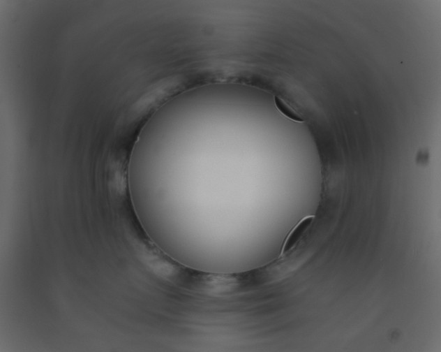 X0000093090719200710101517