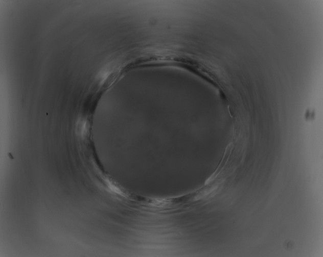 X0000093090720200710101517