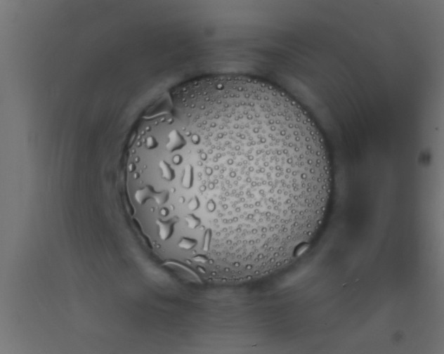 X0000093090721200710101516