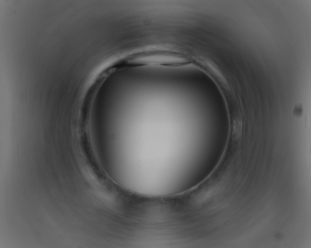 X0000093090724200710101516