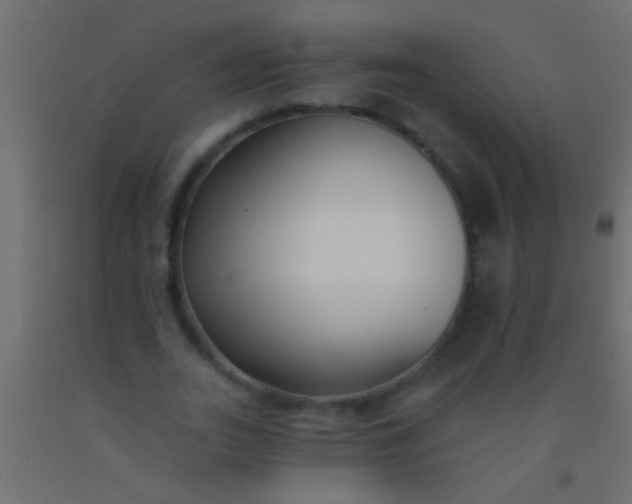 X0000093090727200710101516