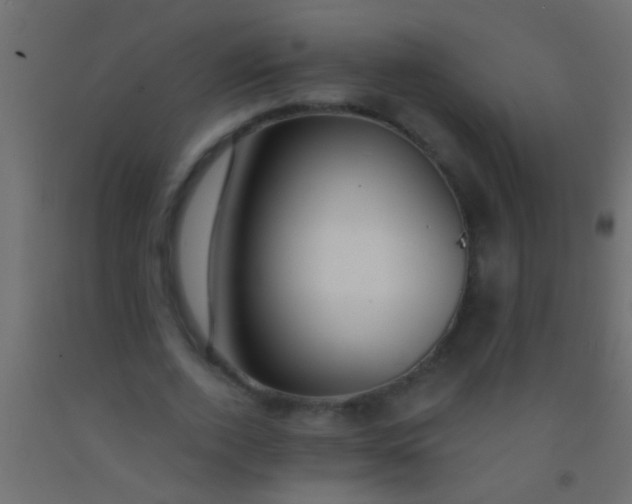 X0000093090728200710101516