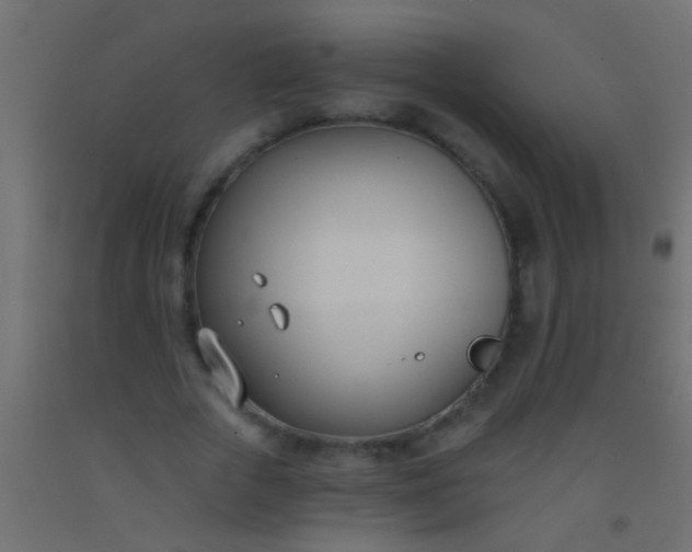 X0000093090729200710101516