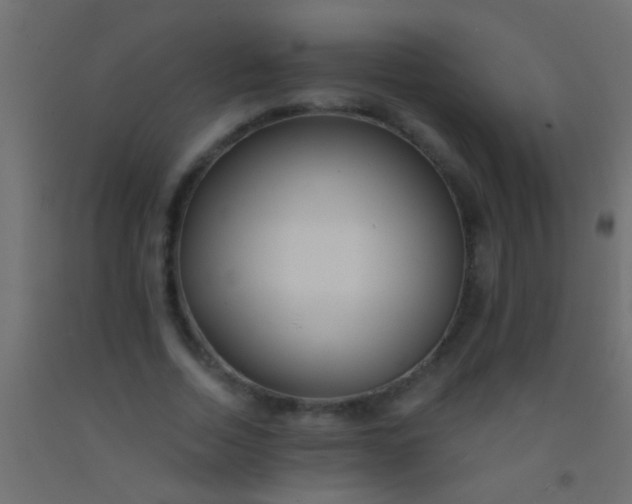 X0000093090730200710101516