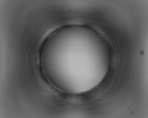 X0000093090731200710101516