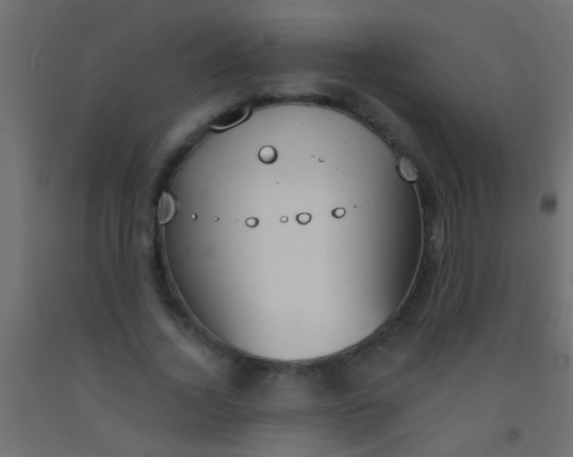 X0000093090732200710101516