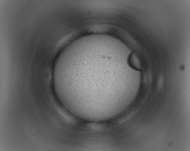 X0000093090733200710101516