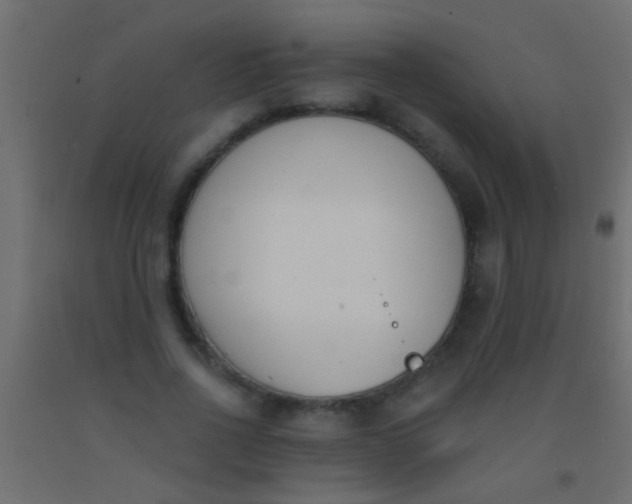 X0000093090734200710101516