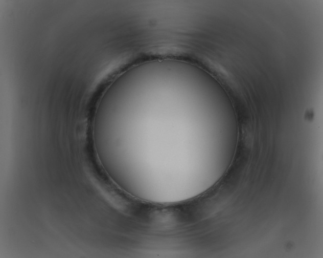 X0000093090735200710101516