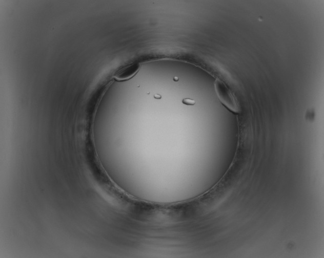 X0000093090736200710101517