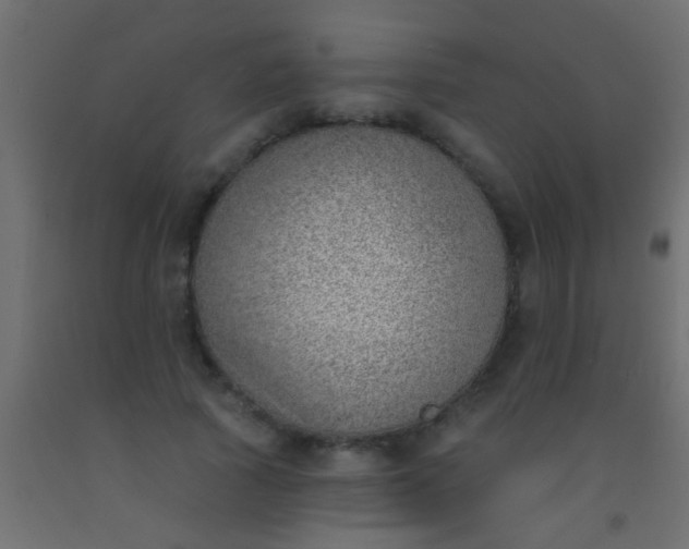 X0000093090737200710101517