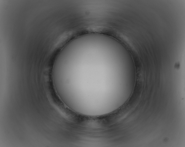 X0000093090738200710101517