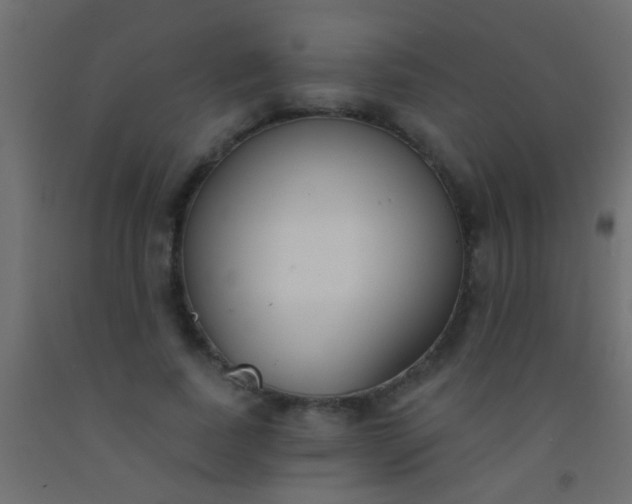 X0000093090739200710101517